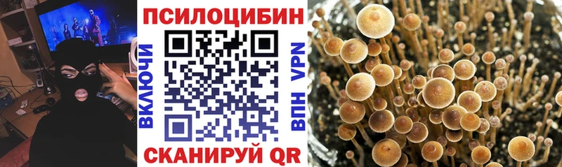 купить   Иннополис  Галлюциногенные грибы прущие грибы 